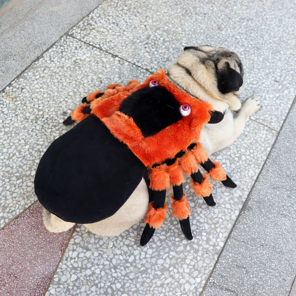 Halloween spider pet costume